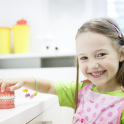 Little,Girl,Holding,An,Artificial,Model,Of,Human,Jaw,With little girl looking at braces for her teeth