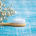 sustainable oral care bamboo toothbrush